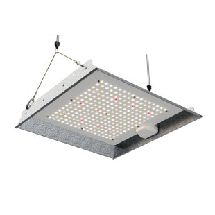 Blume 100-Watt full spectrum led Grow Light with daisy chain for indoor plants
