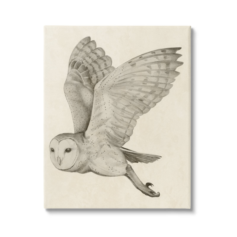 Flying Barn Owl Wings Detailed Monochrome Drawing by Grace Popp - Floater Frame Print on Canvas, 16" W x 20" H