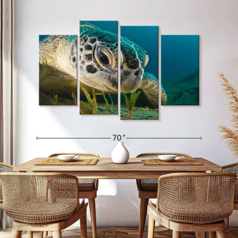 Sea Turtle Close Up