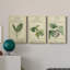 Linnaean Botany IV - ensemble de 3 impressions sur toile tendue-282748215