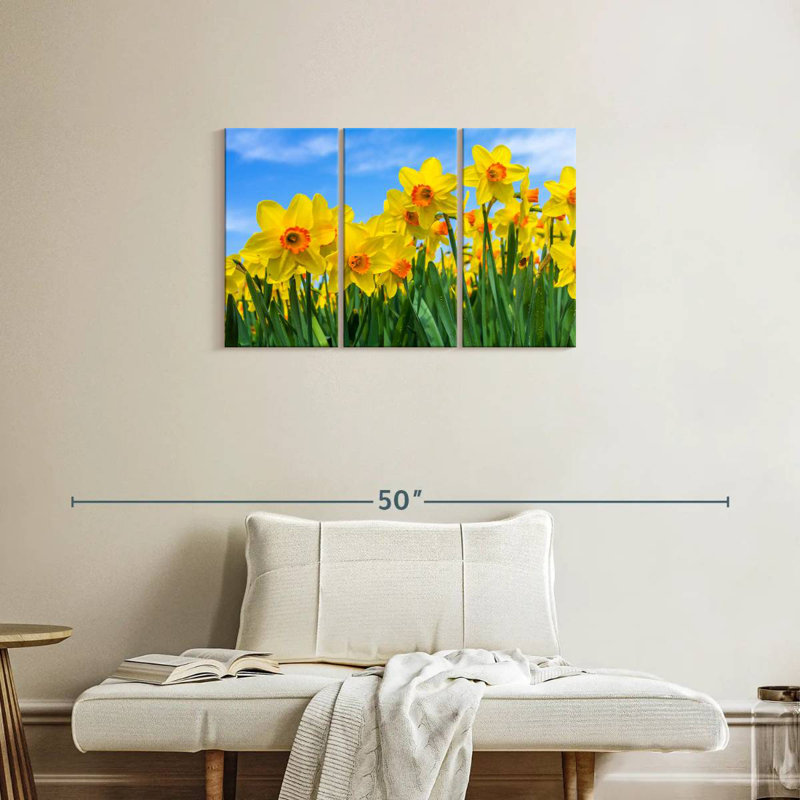 Dutch Master Daffodils, 20" H x 33" W