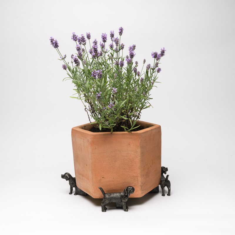 Seraphine Weather Resistant Planter Feet