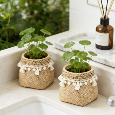 2-Piece Cement-Weave Fringe Planter Set — 6.5-inch Stylish Planting Containers for Personalized Gardening Spaces