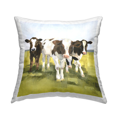 Coussin Calf Cows Country Farmland
