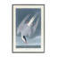 Art de la sterne arctique classique, estampe numérique par one1000paintings-107873574-111767620