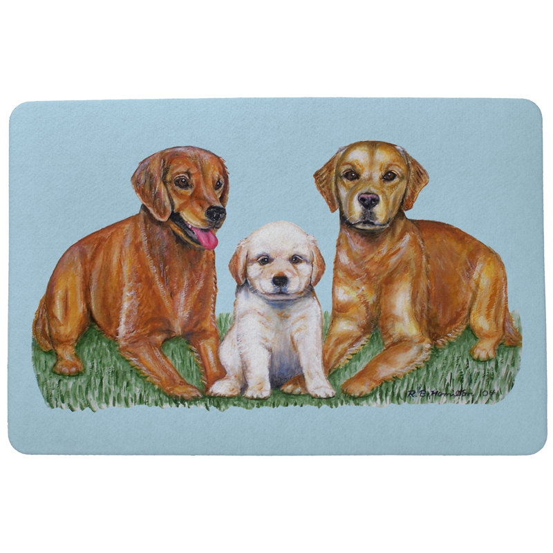 Tapis de porte antidérapant pour animaux de compagnie intérieur / extérieur, Rectangle 1 pi 6 po x 2 pi 2 po