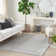 Aseneth Abstract Machine Woven Chenille Indoor/Outdoor Area Rug in Gray