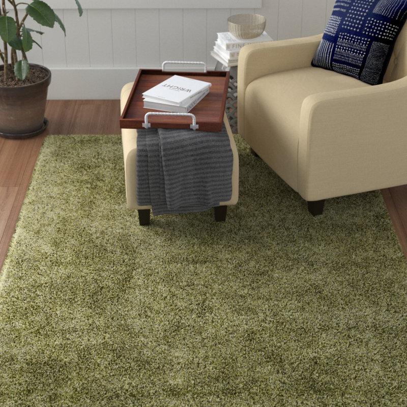 Tapis de zone verte touffeté à la main Worrell, Rectangle 3 pi 6 po x 5 pi 6 po