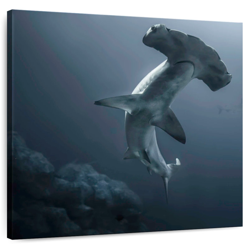 Requin-marteau puissant, H 10 po x l 10 po