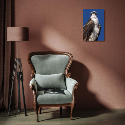 Art sur toile tendue par Talbot Frank, Christopher, États-Unis, Californie, La Jolla Rare Osprey