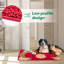 Tapis d'entrée antidérapant Ebern Designs-237479516-237479505