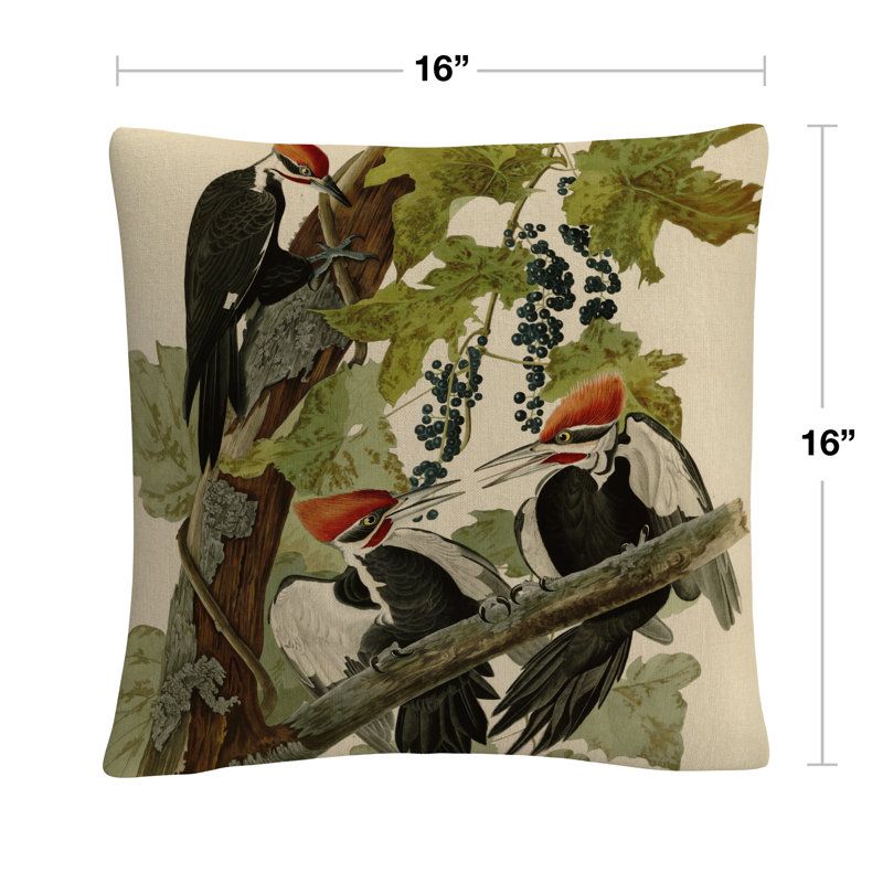 John James Audubon Throw Pillow