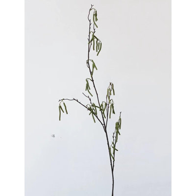 Branche de chat sauvage - 44,5 po