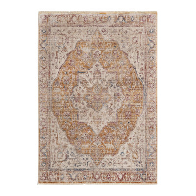 Stephania Oriental Indoor Rug