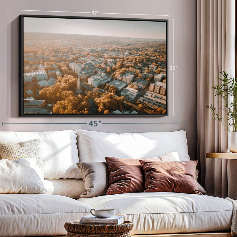 " UNC Campus Aerial View ", 25" H x 37" W