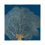 Gold Coral III by Aimee Wilson - Floater Frame Print on Canvas-1691385259-1691385257