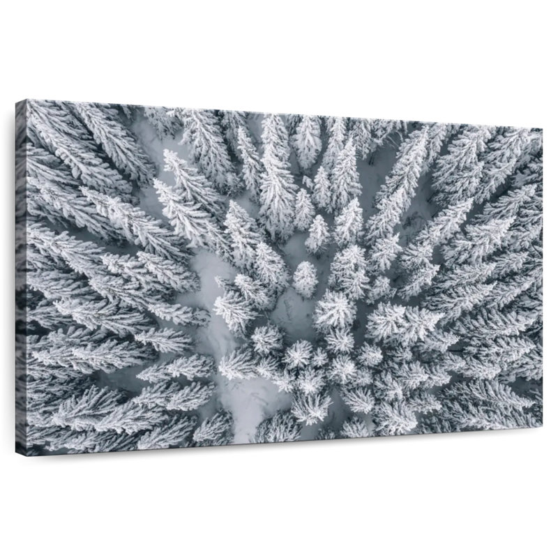 Pin Harnek recouvert de neige, H 30 po x l 45 po