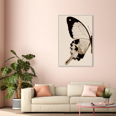" Animals Sepia Butterfly I Insects "