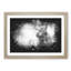 Highland Cow - Picture Frame Graphic Art Print-56863423-56863428