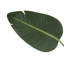 Pot 60 po en polypropylène (Pp) 60 po-129158559