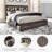 Drystan Bookcase Bed