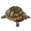 Beckett Turtle Statue