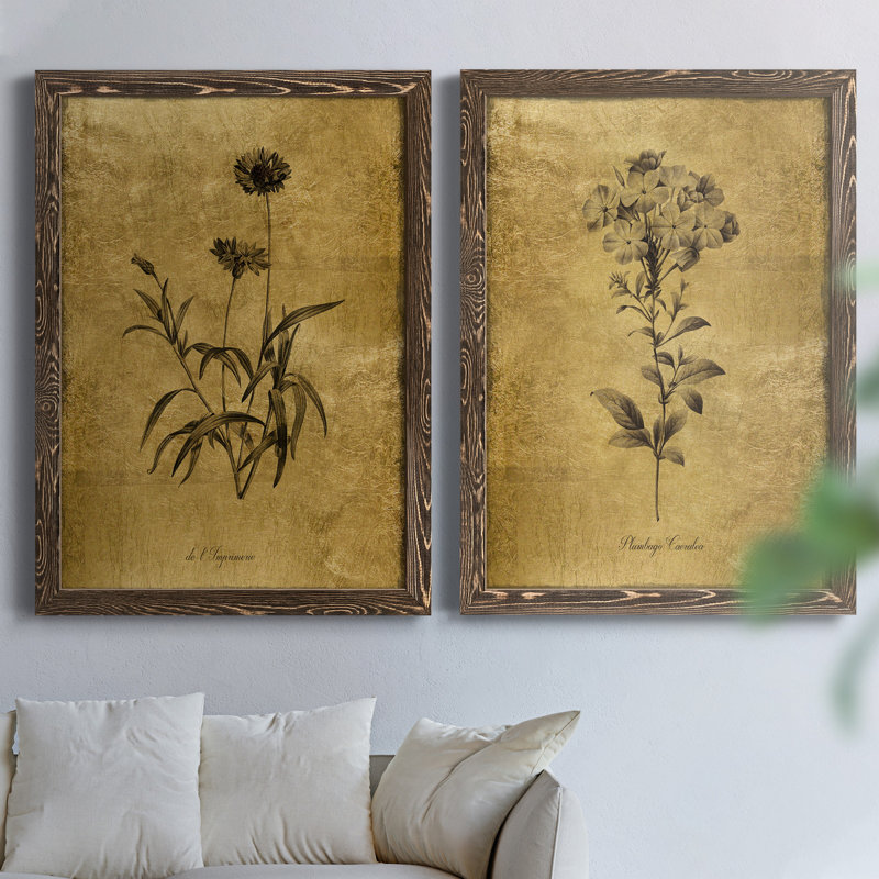 Croquis doré Botanique I - Cadre photo, ensemble de reproductions d'art sur toiles, H 24 po x l 36 po x P 1,5 po, Cadre noyer