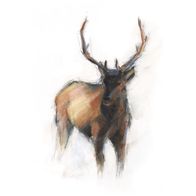 Sienna Animal Study II by Ethan Harper - Wrapped Canvas Painting, 46cm H x 30cm W x 3.8cm D
