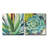 Brilliant Succulents I/II by Norman Wyatt Jr. - Canvas Print Set-1273858678-1277238983-1281823697