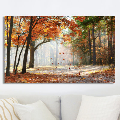 « chutes de feuilles de chêne », reproduction de photo sur toile tendue