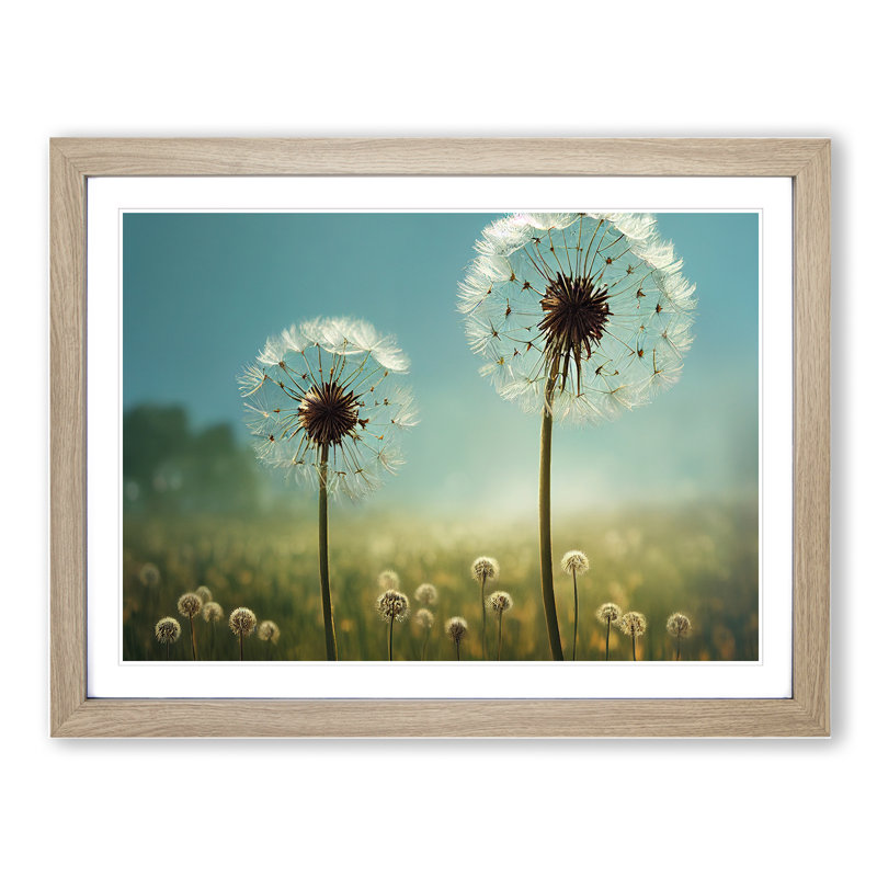 Dandelion Field Vol.5 - Single Picture Frame Print, Oak, 25cm H x 34cm W x 2cm D