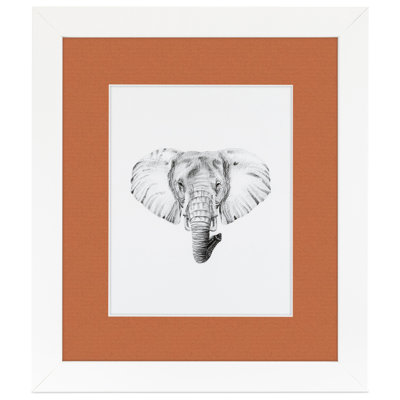 Matte Picture Frame