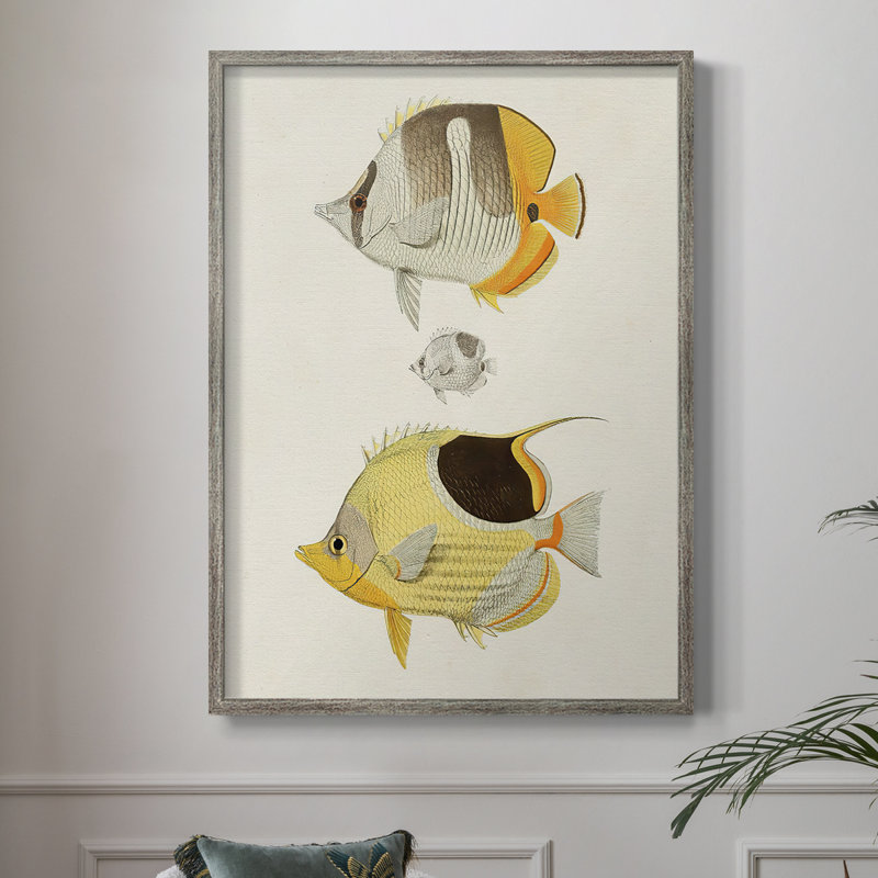 «Yellow & Gray Fish II», reproduction encadrée - bois massif, H 30 po x l 24 po