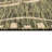 Indoor / Outdoor Rug-724469919