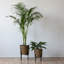 Ensemble de pots à fleurs en métal 2 pièces Boones-2029630458