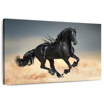 Brampt Black Desert Horse