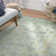 Chantae Performance Oriental Rug