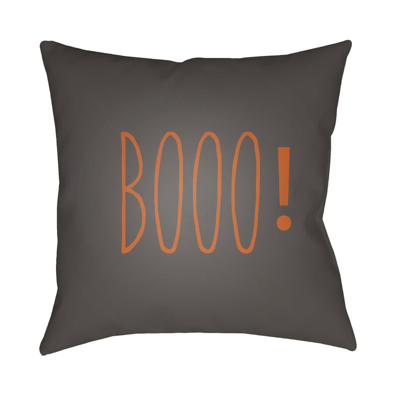  Indoor/Outdoor Throw Pillow, 20" H x 20" W x 4" D, Dark Gray