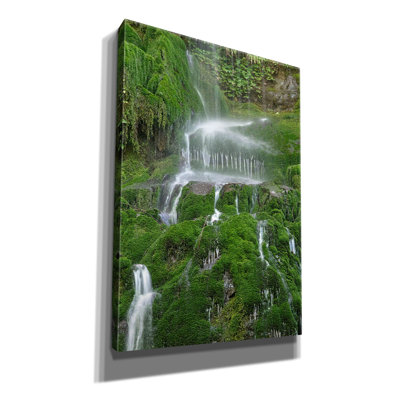 «Moss Waterfall» par Lynda White, art mural sur toile