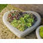 Heart Planter-13938664-13938660