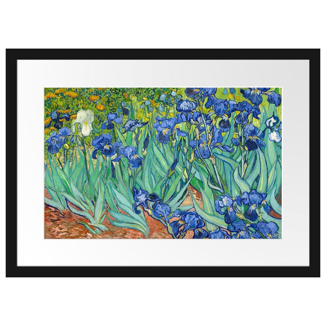 Gerahmter Kunstdruck Irises von Vincent Van Gogh