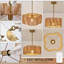 Caden 1-Light Boho Rattan Drum Chandelier Light Fixture