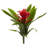 Bromeliad Bush Silk Flowers-24745657