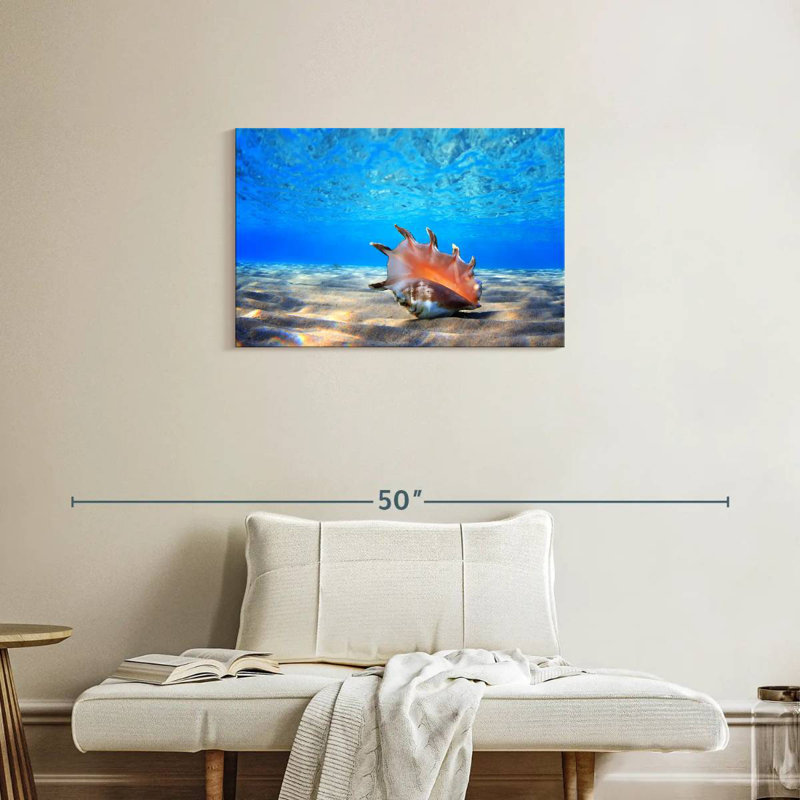 Aletra Seashell Treasure, 20" H x 30" W