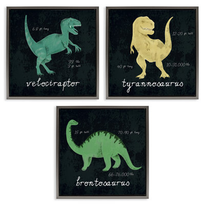 «Dinosaur Facts Chalk Inspired Design», ensemble de 3 toiles flottantes encadrées par Daphne Polselli