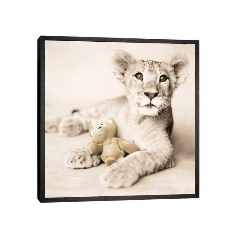 Arjuna And Teddy by Rachael Hale - Print on Canvas, Black Framed, 30.48 cm H x 30.48 cm W