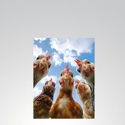 Cinq poules, art mural sur toile sans cadre 16 po x 20 po