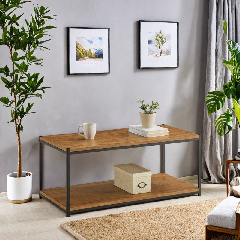 Table basse avec rangement Harless - Table de salon, Brun / Noir