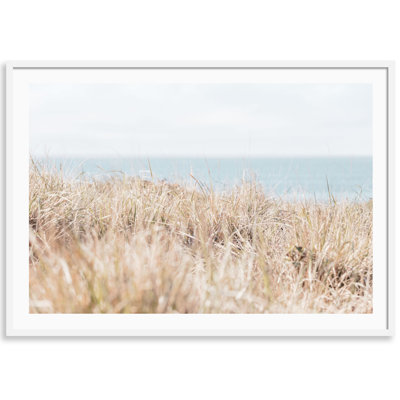 Sea Ranch Wild Grass Print by Carly Tabak