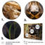 «Black Panther Into The Wild» sur toile-302290207-302290198